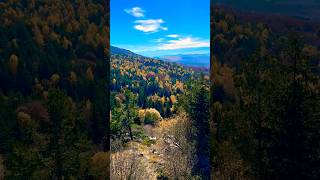 From peak Ostritsa in Vitosha mountain autumn shorts [upl. by Lleznol]