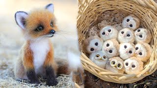 Cute Baby Animals Videos Compilation  Funny and Cute Moment of the Animals 18  Cutest Animals [upl. by Luciana]