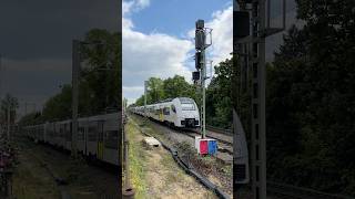 Transregio 460 010 460 014 und 460 014 Elektrotriebwagen als RB 26 aus Mainz in Bonn br460 [upl. by Esilrahc]