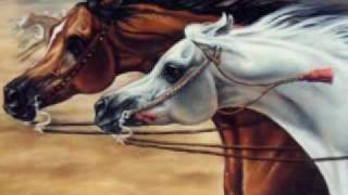 The Beauty of the Arabian Horse [upl. by Hebner]