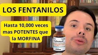 LOS FENTANILOS Hasta 10000 veces mas POTENTES que la MORFINA un reto para la sociedad actual [upl. by Ivor927]