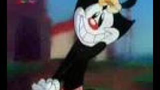 Animaniacs  German Intro Xtended [upl. by Evol338]