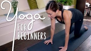 Yoga For Complete Beginners  20 Minute Home Yoga Workout [upl. by Allimrac]