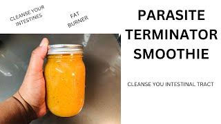 Parasite Removal Smoothie  Intestinal Cleanse  Healthy [upl. by Notrub521]