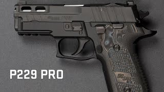 P229PRO [upl. by Emmalynn]