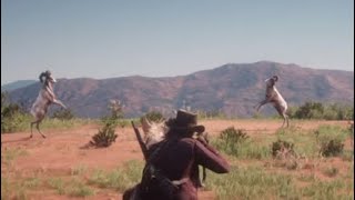 Rare Bighorn Ram Encounter  Red Dead Redemption 2 [upl. by Illom]