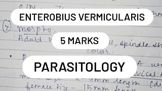 ENTEROBIUS VERMICULARIS  LIFE CYCLE  Pathogenesis  5 marks micro [upl. by Eicaj]