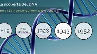 DNA 1 Il DNA è il vettore dellinformazione genetica [upl. by Elleirol403]