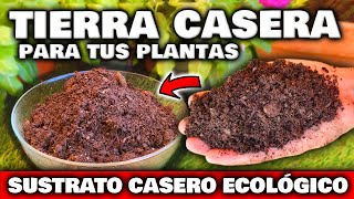 ¡REVELADO Fabrica tu propia TIERRA CASERA o SUSTRATO CASERO para PLANTAS GRATIS  Abono para Jardín [upl. by Annamarie373]