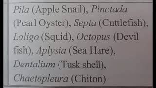 Examples of Mollusca soft bodied animalsviralvideo ncert [upl. by Petrine]