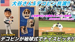 【MLB】大谷さんampデコピン 圧巻の4242達成ampデコピン初始球式 24年8月28日 vs オリオールズ [upl. by Angi]