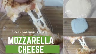 how to make mozzarella cheese recipe at home l mozzarella cheese recipe l by Bharti Patni [upl. by Frager]