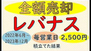 iFreeレバレッジNASDAQ100を1年半積み立てた結果。運用止めました。理由と積立額 リターン 次の投資商品を紹介。 [upl. by Rogovy775]