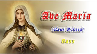 Ave Maria  Nyberg   Bass [upl. by Nierman]