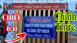 Chiều 611 CTY TNHH PHÁT TÂM THIÊN ĐỊNH TUỆ chính thức thông báo gấp đến bà con gần xa [upl. by Yroj665]