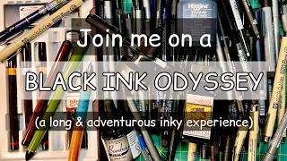 A Black Ink Odyssey Everything I Know About Ink Drawing Pens amp Every Pen Brand I Own 11 Brands😯 [upl. by Hoseia235]