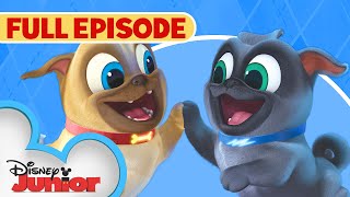 Puppy Dog Pals S1 E1 Full Episode 🐶  Hawaii PugOh 🏝️  ARF  disneyjr [upl. by Leahcar]