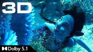 IMAX 3D Teaser • Avatar 2 The Way of Water • Dolby 51 [upl. by Deehan132]