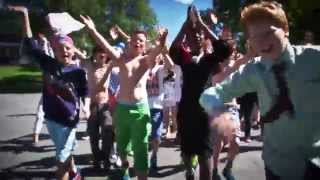 LUBDUB  Lunner barneskole LIPDUB 2014  7 trinn  Happy [upl. by Nwahsor910]