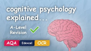 What is Cognitive Psychology Alevel Revision Themes in Psychology Explained [upl. by Balcke]