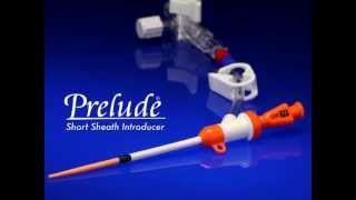 Prelude® Short Sheath Introducer Video and Animation [upl. by Yekciv544]