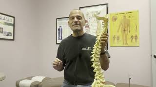 What is a Chiropractic Adjustment [upl. by Weitman]