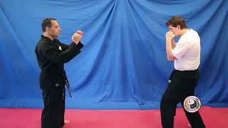 Kempo Karate  Combination 6 [upl. by Enyak]