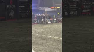 PBR PENDLETON WHISKY VELOCITY TOUR  DCU CENTER  2242024 [upl. by Lobiv722]