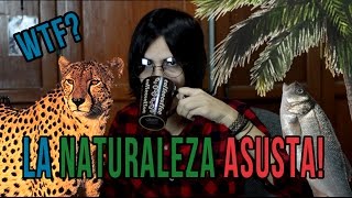 La Naturaleza ASUSTA ft John Lennon [upl. by Sine238]