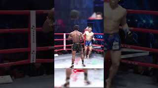 Very crispy buakaw kick is dug shortsvideo kickboxing boxing mma ufc muaythai shorts [upl. by Ardnauq]