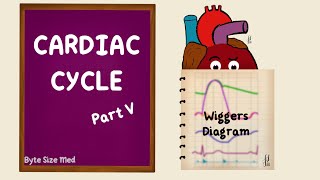 Cardiac Cycle  Wiggers Diagram  Part 5  Summary  Cardiac Physiology [upl. by Eynahpets]