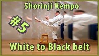 5Shorinji Kempo training practicetechniques Secrets strong kicks Keri AgeKinteki Geri武道少林寺拳法 [upl. by Atinuahs246]