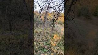 Road Trip bowhunting missouri adventure outdoors deerhunting archery nature deer passion [upl. by Eioj]