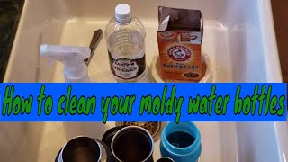 How to Clean Moldy Water Bottles [upl. by Strickman]