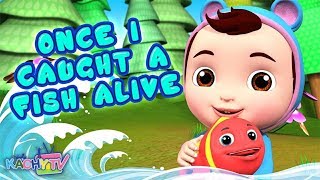 12345 Once I Caught A Fish Alive   More Nursery Rhymes for Babies  Kachy TV Kids Songs [upl. by Lord]