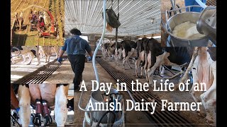 A Day in the LIFE of An AMISH DAIRYMAN During Fall Harvest in Lancaster County PAs Amish Country [upl. by Meredeth]