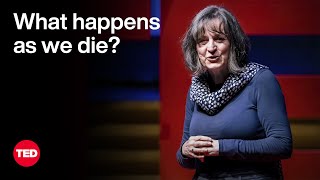 What Happens As We Die  Kathryn Mannix  TED [upl. by Ggerc298]