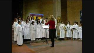 danza dei pastori 2009wmv [upl. by Woehick25]