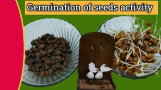 Germination of seeds activity  Class 6 [upl. by Tennes137]