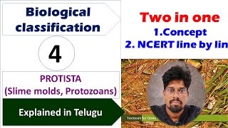 BIOLOGICAL CLASSIFICATION4 PROTISTASlime molds Protozoans  NCERTLINE BY LINE  Class 11 [upl. by Maleen887]