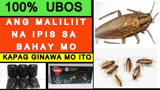 PAANO 100 MAUUBOS ANG MALILIIT NA IPIS SA BAHAY MO RECOMMENDED VIDEO ITO LANG PALA ANG SOLUSYON [upl. by Ahseekat]