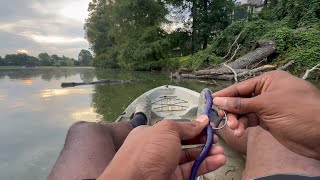 How to catch more bass in any weather  Fish structure amp ambush points fishing bassfishing [upl. by Crowe]