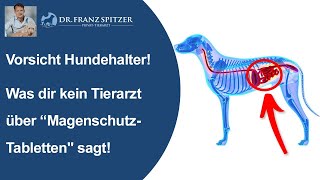 Vorsicht Hundehalter Was dir über quotMagenschutzTablettenquot kein Tierarzt sagt [upl. by Glenine]