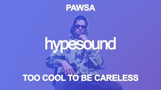 PAWSA  TOO COOL TO BE CARELESS Extended Mix [upl. by Yendroc50]