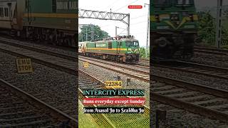 Intercity Express trains expresstrain ytshorts [upl. by Azarria]