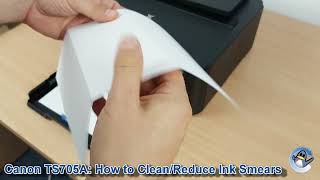 Canon Pixma TS705a How to CleanReduce Ink Smears with Bottom Plate Cleaning [upl. by Ahlgren]