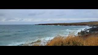 Cape Bonavista October 12 2024 [upl. by Clarine]