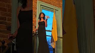 Intro into Liberland reception in Washington DC [upl. by Eselrahc]