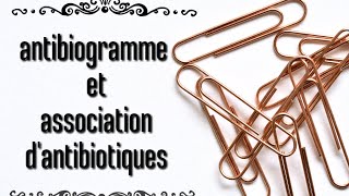 antibiogramme et association dantibiotiques [upl. by Remington]