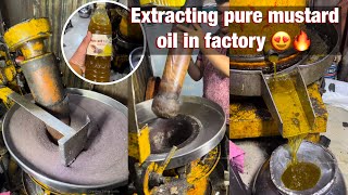 Extracting pure mustard oil in factory  Satisfying ASMR factory videos [upl. by Faustena]